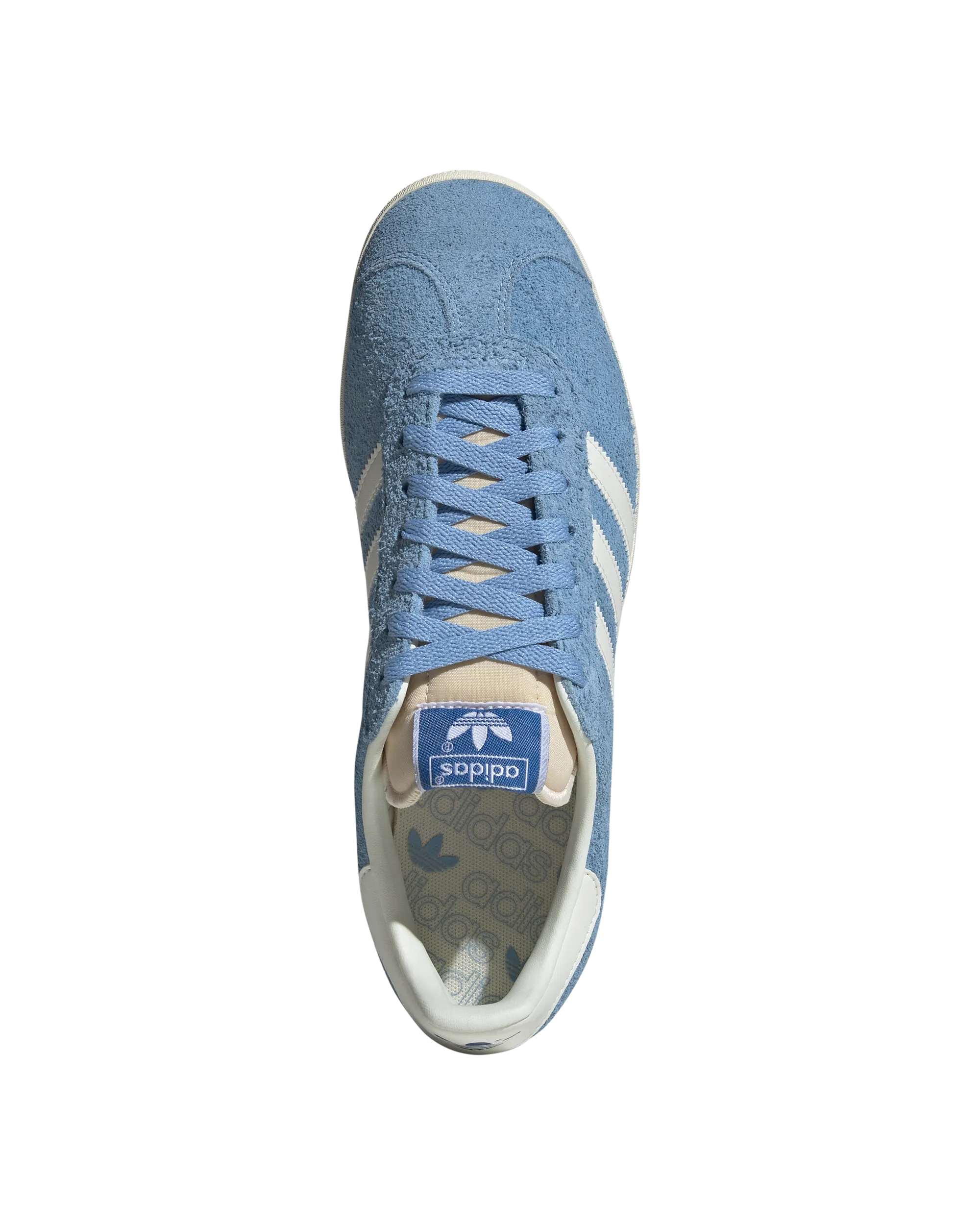 Gazelle Indoor