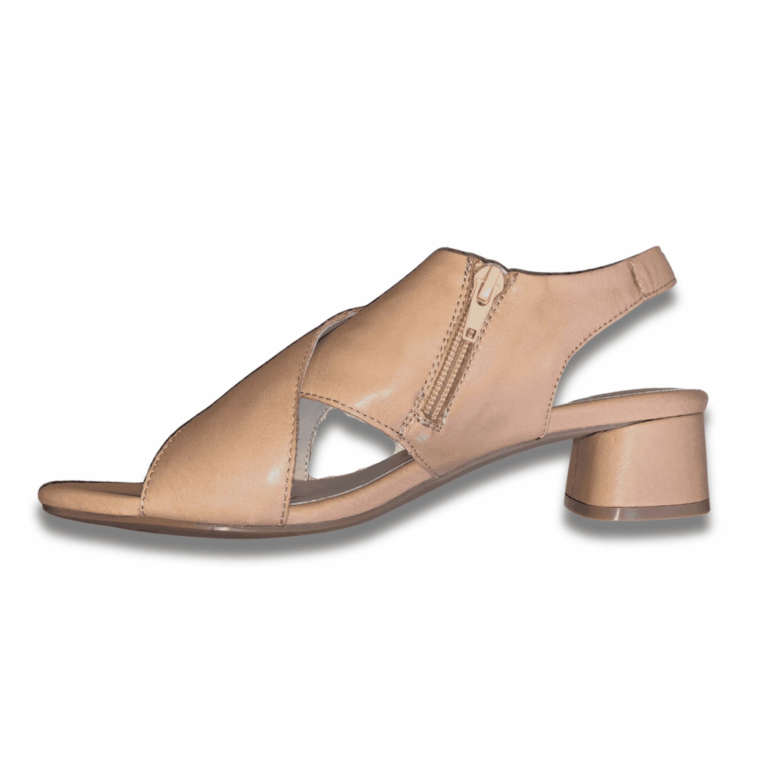 Stegman Pass Camel Heel