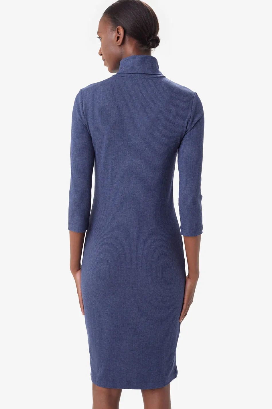 Villeray Turtleneck Dress