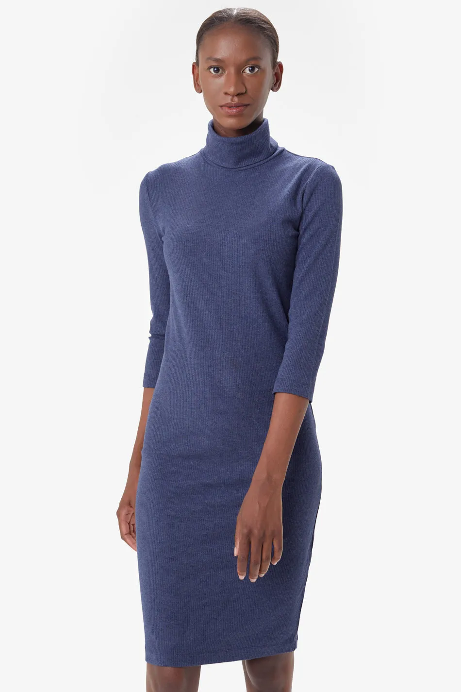 Villeray Turtleneck Dress