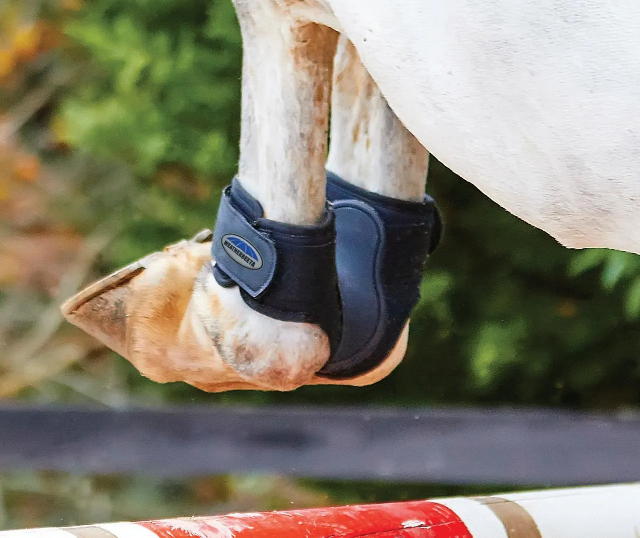 Weatherbeeta Dynamic Fetlock Boots